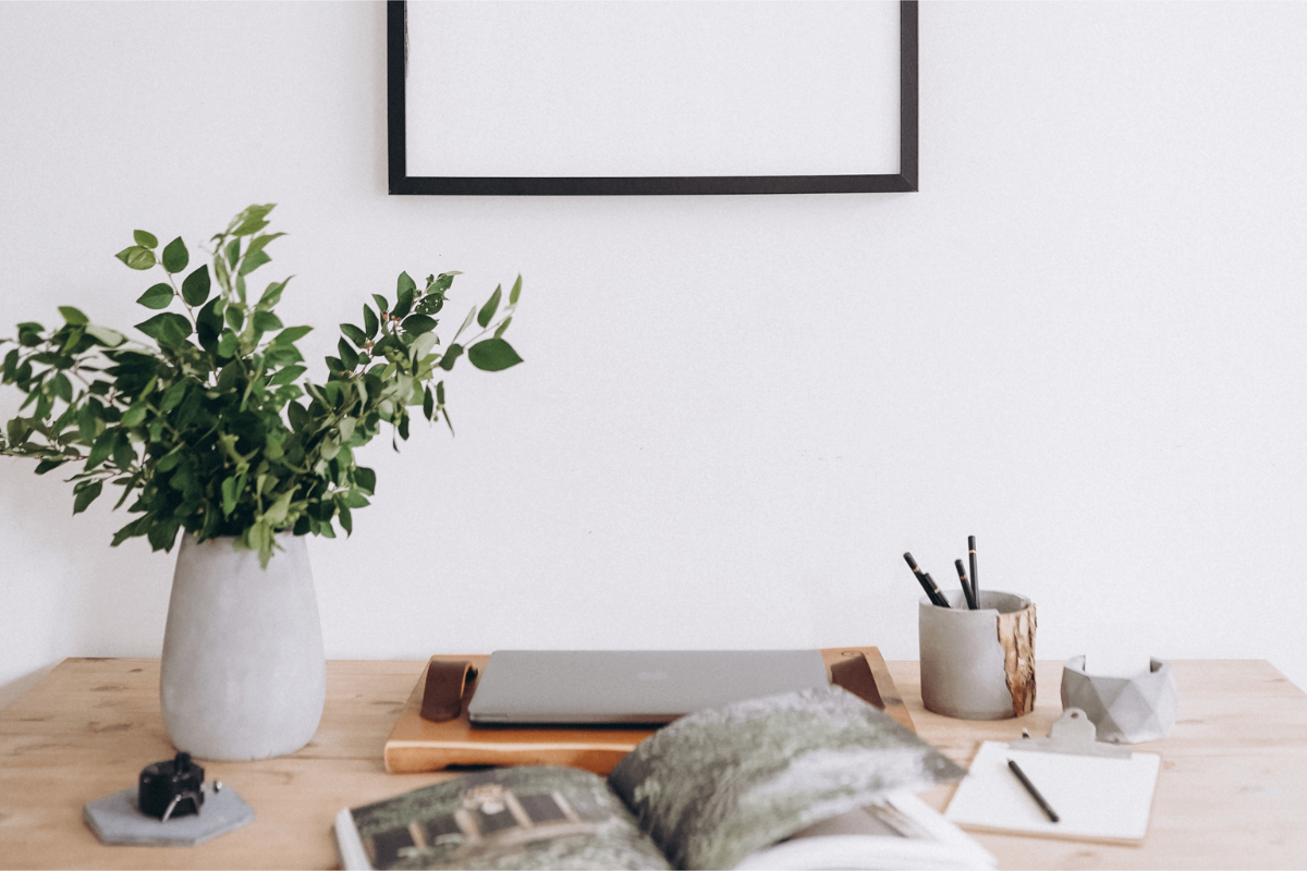 plant and book on desk in front of a mirror