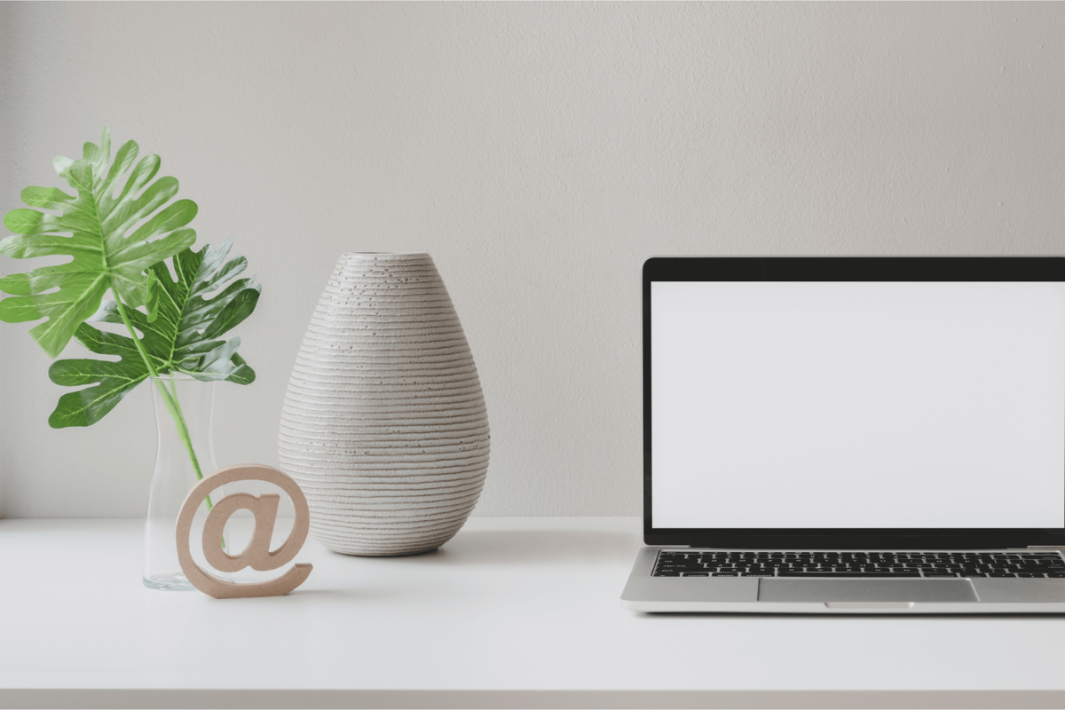 Laptop on a desk with a plant